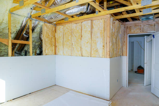 Best Eco-Friendly Insulation in Bowling Green, MD